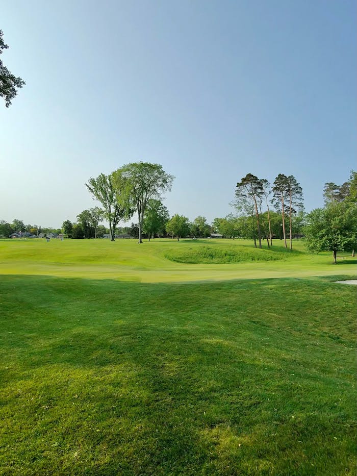 A scenic view of a golf course with lush green grass and tall trees on a sunny summer day.
